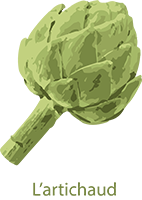 Artichaux01 web
