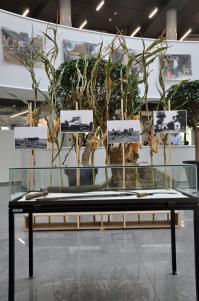 Expo agriculture 10 2016 5