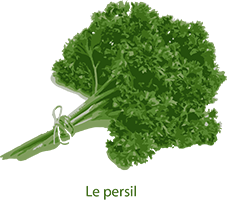 Persil frise web