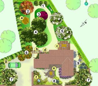 Plan de jardin avec des grands arbres 2 1